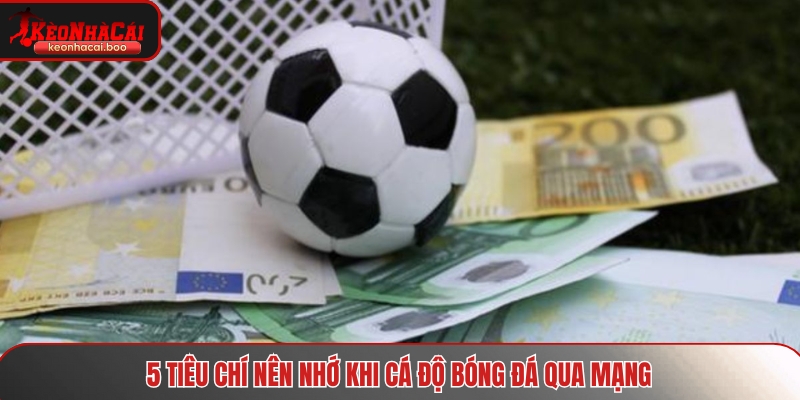 5 tiêu chí nên nhớ khi cá độ bóng đá qua mạng