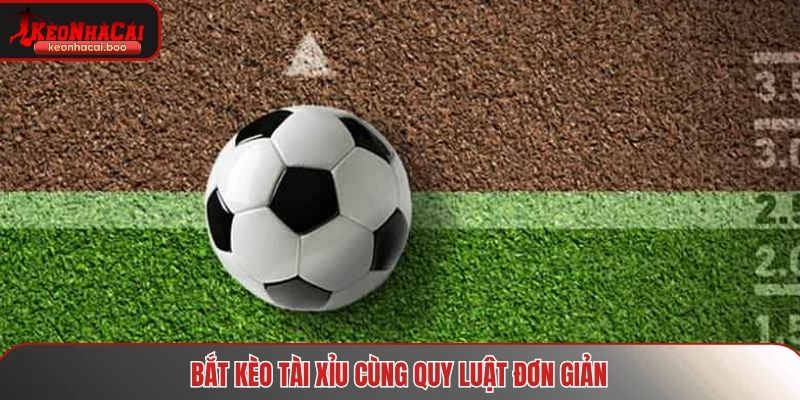 Bắt kèo tài xỉu cùng quy luật đơn giản