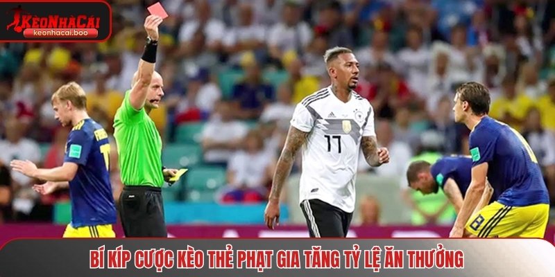 Bỏ túi những mẹo đặt cược từ chuyên gia