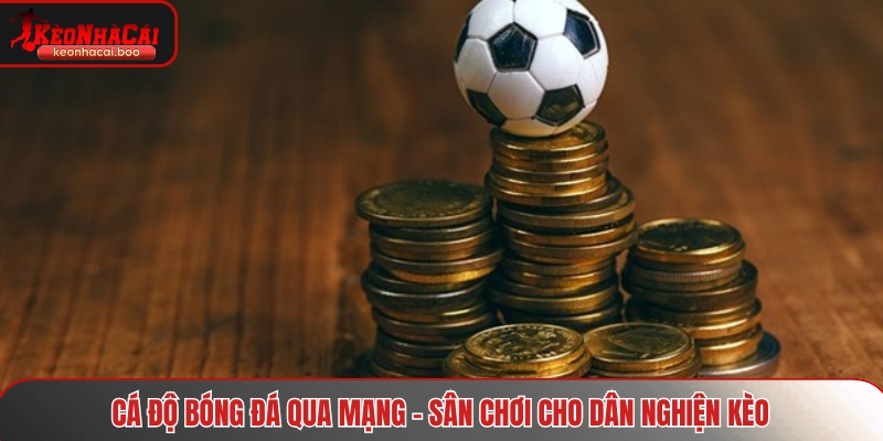Cá độ bóng đá qua mạng