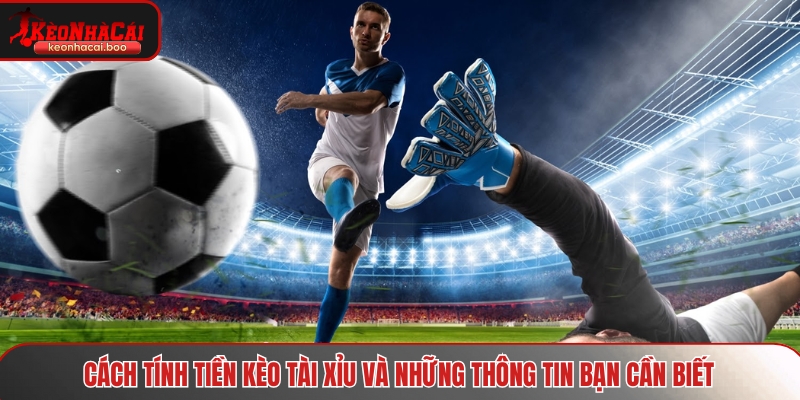 Cách tính tiền kèo tài xỉu cơ bản cho thành viên