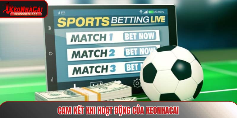 Cam kết khi hoạt động của Keonhacai