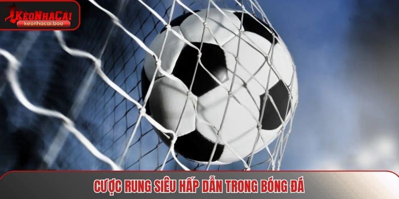 Cược rung siêu hấp dẫn trong bóng đá