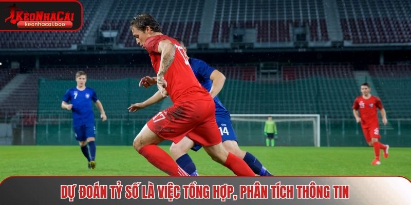 Dự đoán tỷ số là việc tổng hợp thông tin, phân tích