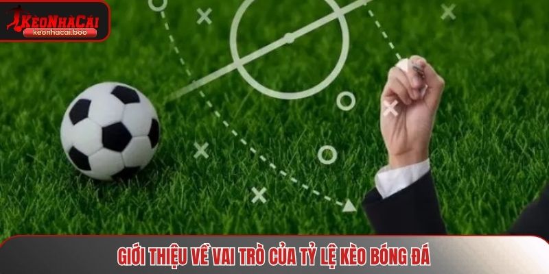 Giới thiệu về vai trò của tỷ lệ kèo bóng đá