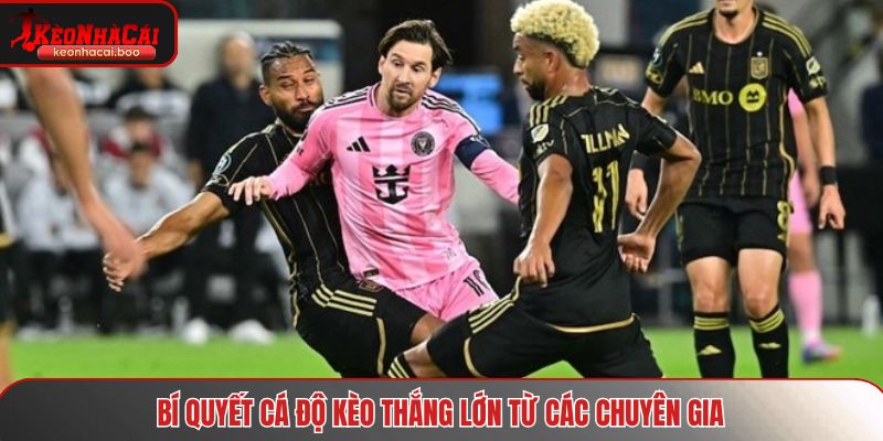 Bí quyết cá độ kèo thắng lớn từ các chuyên gia