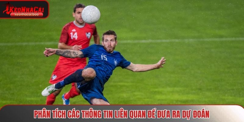 Phân tích các thông tin, dữ liệu liên quan để dự đoán