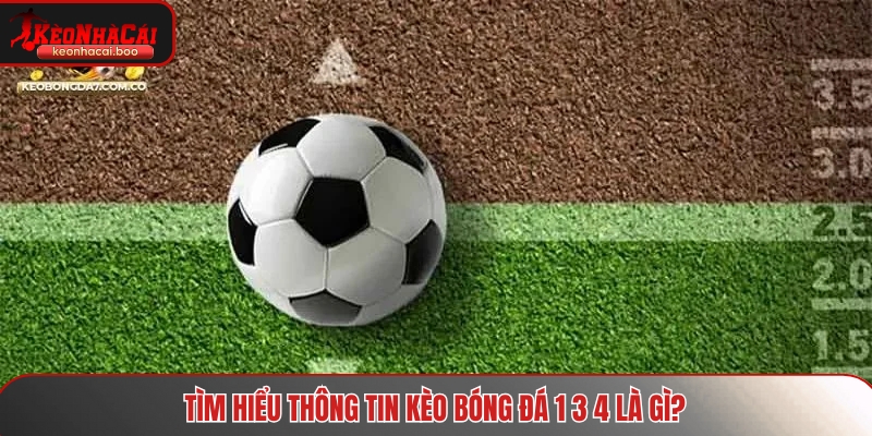 Tìm hiểu thông tin kèo bóng đá 1 3 4 là gì?