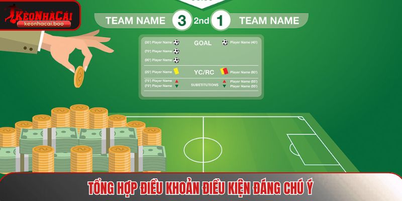 Tổng hợp điều khoản điều kiện đáng chú ý